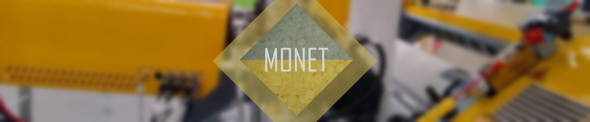 final monet meeting